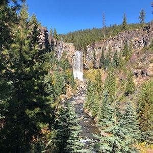 Meet your Posher, Maddie